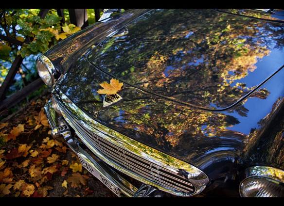 1390629_10151739083862462_1144470485_n